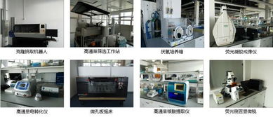 生物技術(shù)開(kāi)發(fā)與化學(xué)工程技術(shù)服務(wù)平臺(tái)的融合創(chuàng)新