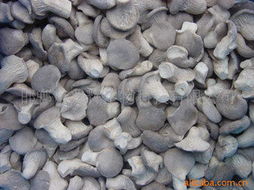 邯鄲市兆輝生物科技 深耕生物技術開發，打造多元化高品質食用菌產品矩陣